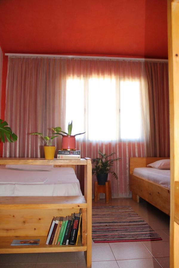 Cozy Big Apartment With Balcony Tirana Extérieur photo