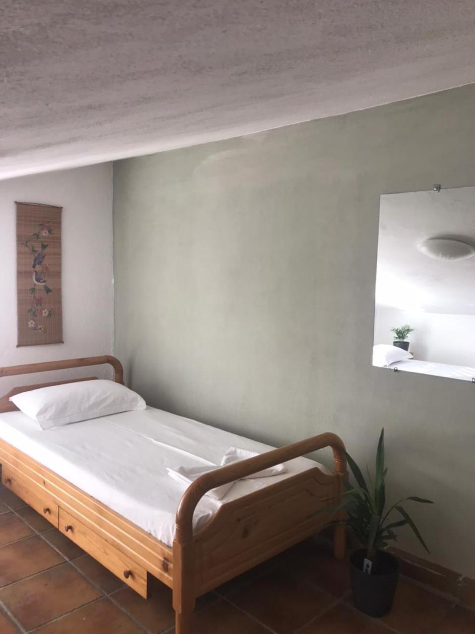 Cozy Big Apartment With Balcony Tirana Extérieur photo